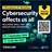 CRAcademy Use Case Workshop: Cybersecurity affects us all – including small and medium-sized enterprises